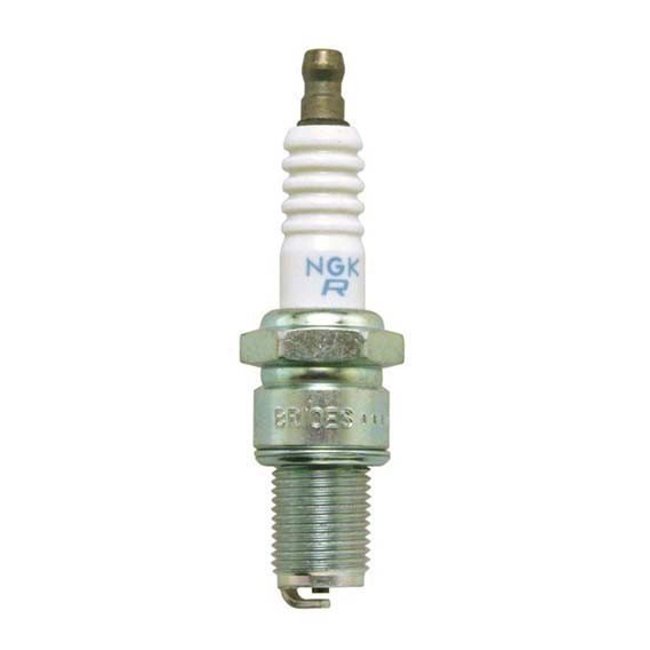 NGK Spark Plug